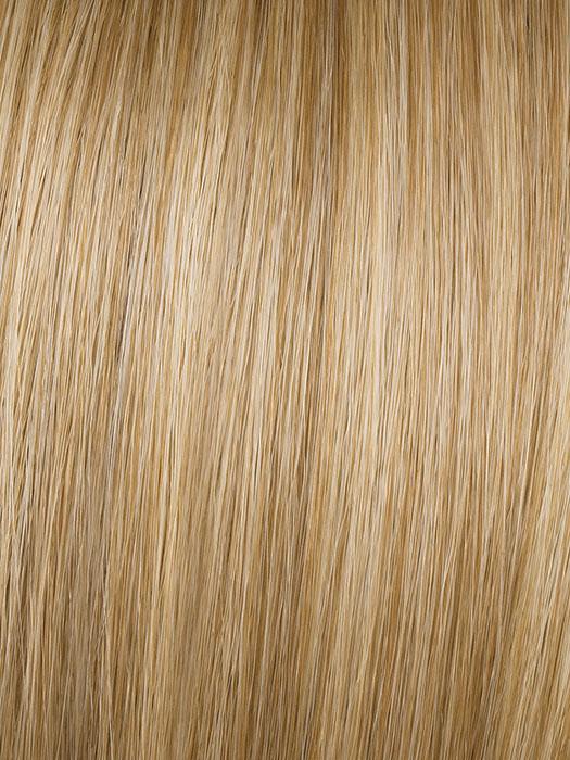 25" Straight Pony | HF Synthetic Ponytail (Wrap Around) by Hairdo