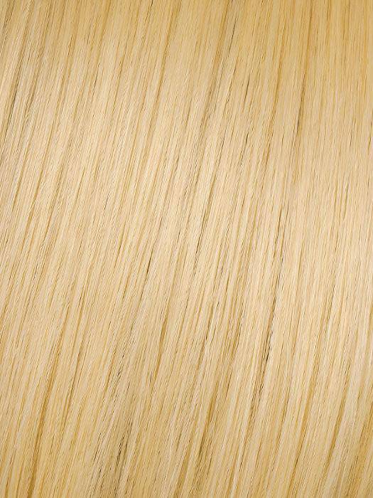 25" Straight Pony | HF Synthetic Ponytail (Wrap Around) by Hairdo