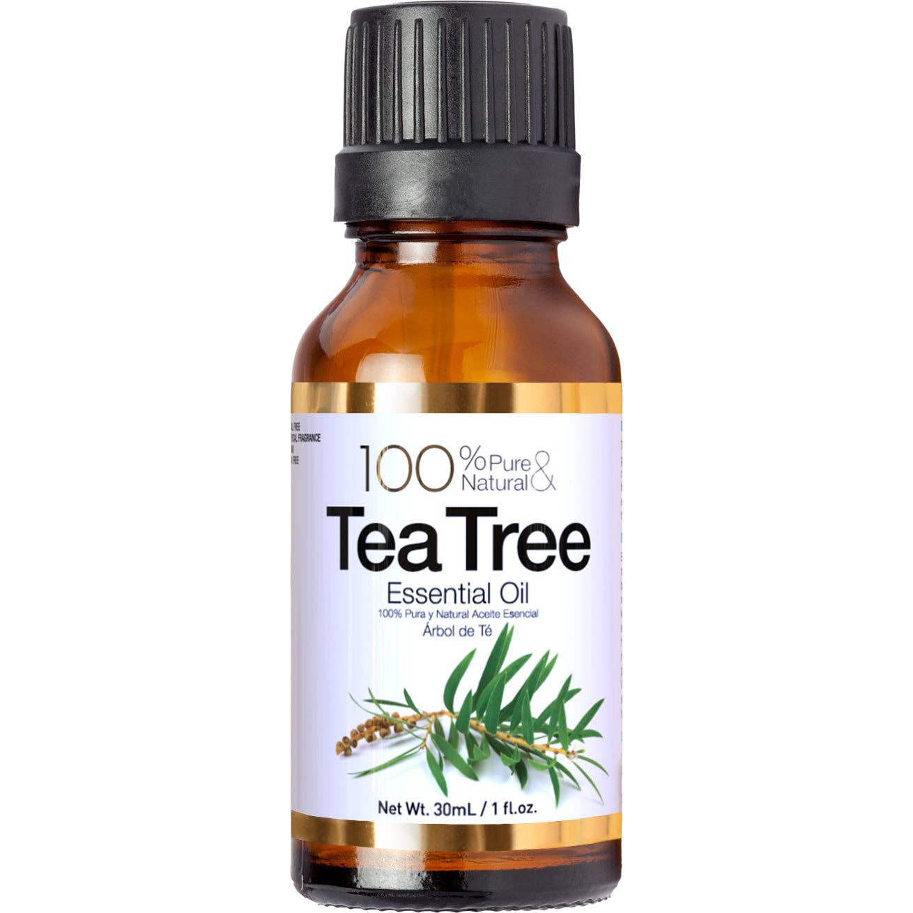 SM Beauty LLC - Touchdown Essential Oils: Rosemary