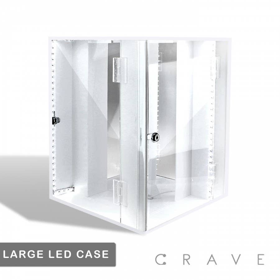 CRAVE BODY JEWELRY - SS & G PRONG SQUARE CZ STUD CROWN EARRINGS -18"X10"