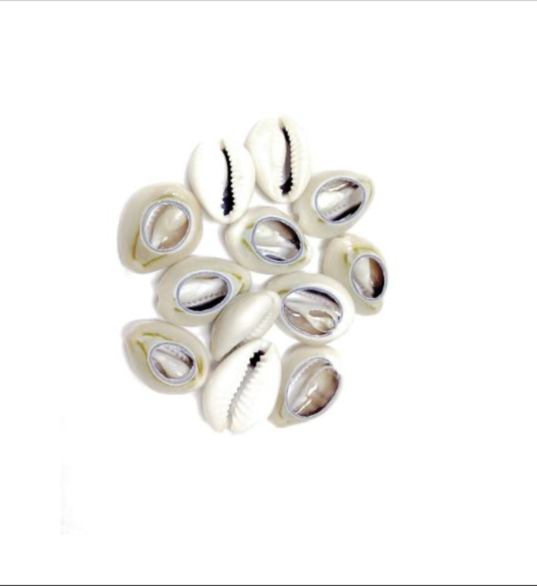 AB-COWRIES-HAIR-ACCESSORIES