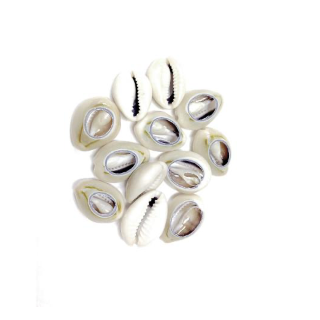 AB-COWRIES-HAIR-ACCESSORIES