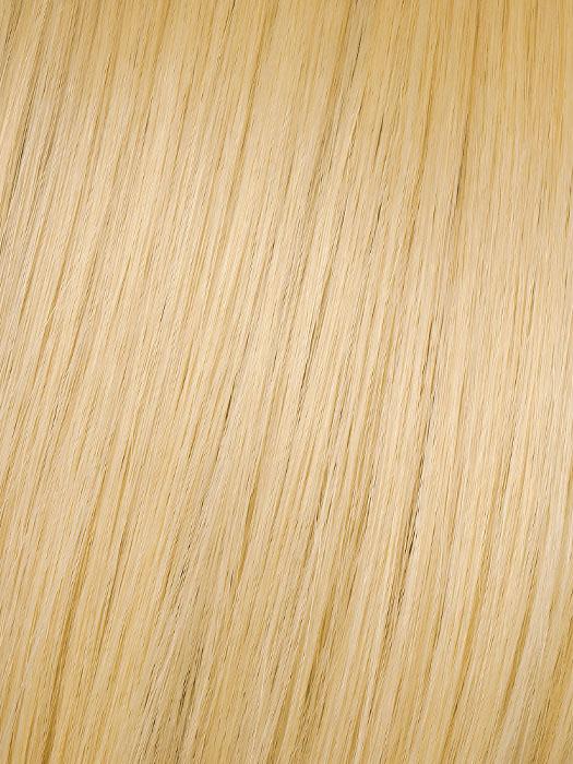 25" Straight Pony | HF Synthetic Ponytail (Wrap Around) by Hairdo