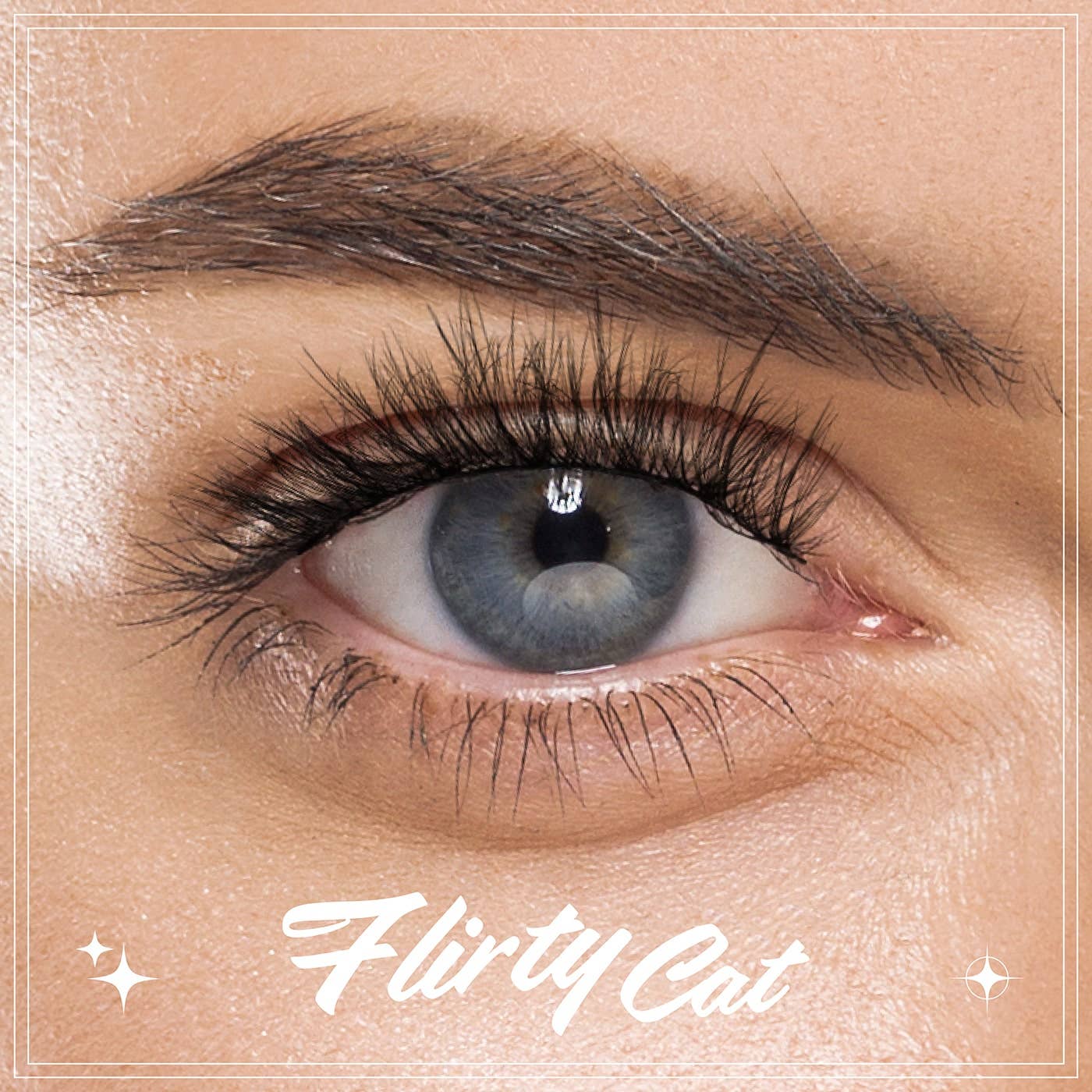 EBIN NEW YORK - CATTITUDE Lashes - Flirty Cat (002)