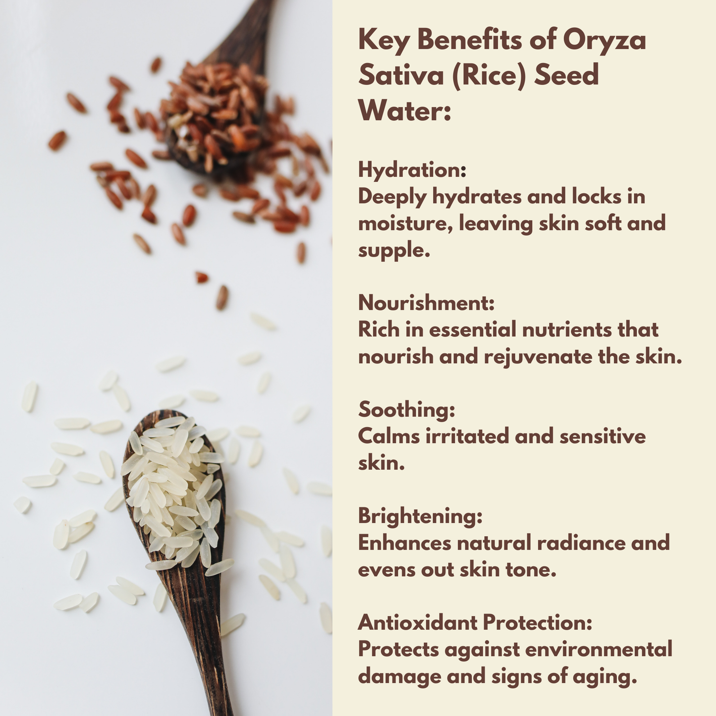 ON Natural USA - ON NATURAL - Rice Water [Rosemary] 8oz: 8oz