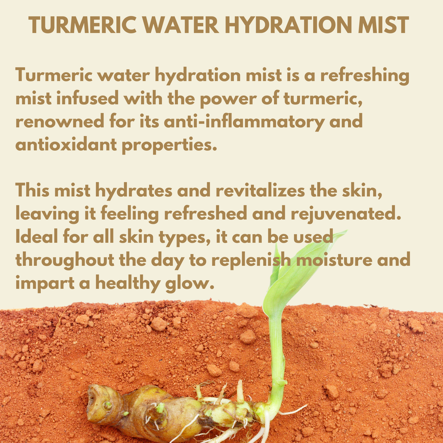 ON Natural USA - ON NATURAL - Turmeric Water [Collagen] 8oz: 8 oz