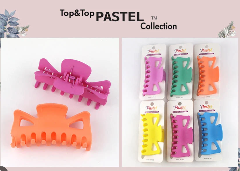 PASTEL FASHION HAIR CLIPS