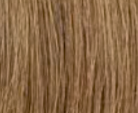 BOSS WIG HH-JALISA-MH1412